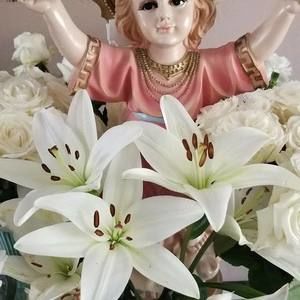 Meet your Posher, Rosanna perez